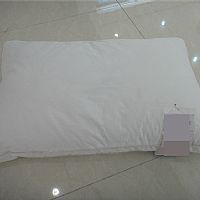 ������z�q��