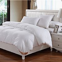 ����ů�q�R���w�S��