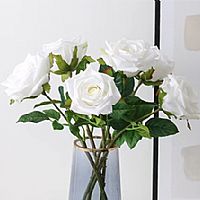 �aƷ_0000s_0002_��Ʒ�|��