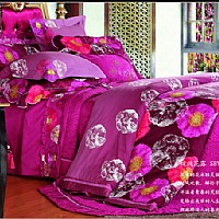 �`�Ż�¶ SBY00011��9