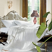 �����Q�z���ﱻ