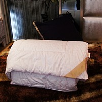 õ����z����FYSB-010��