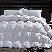 ��ͥ���w��q��