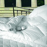 ů����q��