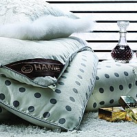 ţ�̝��w��