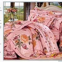 ��ɫ����