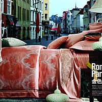 ��ɫ����