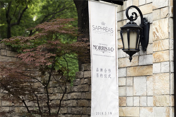 ������赣�Ī��˹��Morris���c�zܽ��(li��n)�����_��(chu��ng)�Ҿ�IP�r��