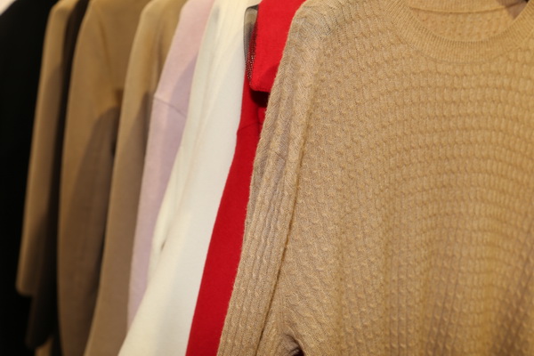 &ldquo;絲駝&rdquo;又一鐘情于駝絨產業的企業，綻放2023intertextile